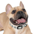 Husky Collar