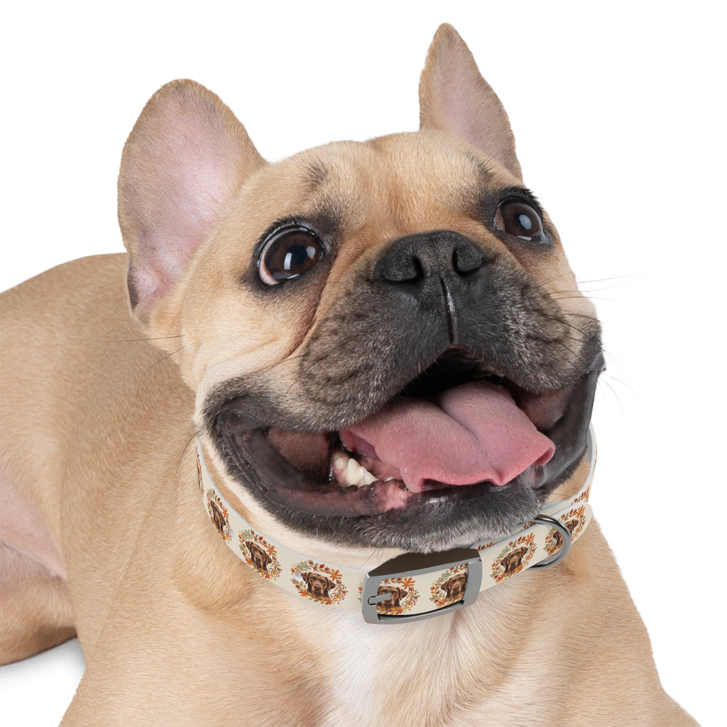 Labrador Collar
