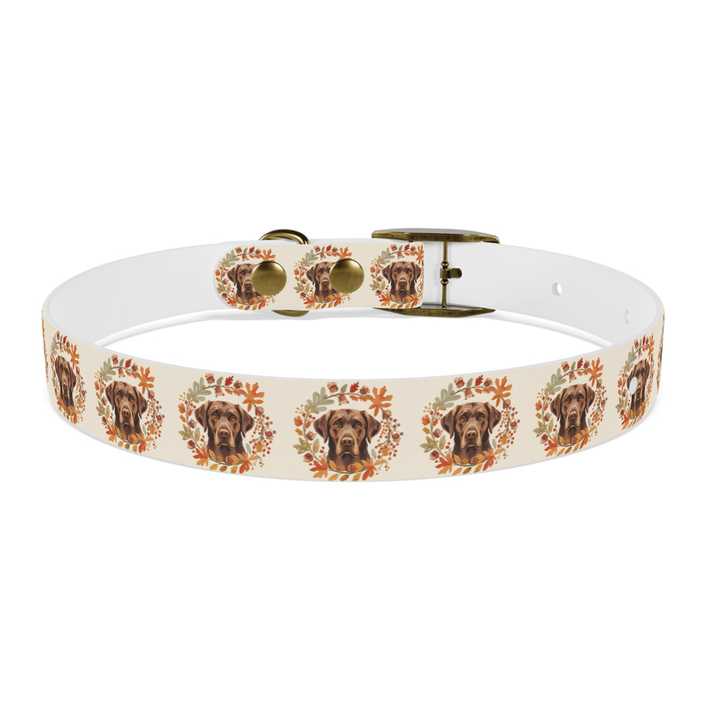Labrador Collar