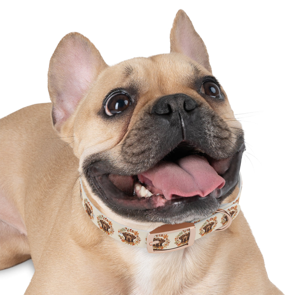 Labrador Collar
