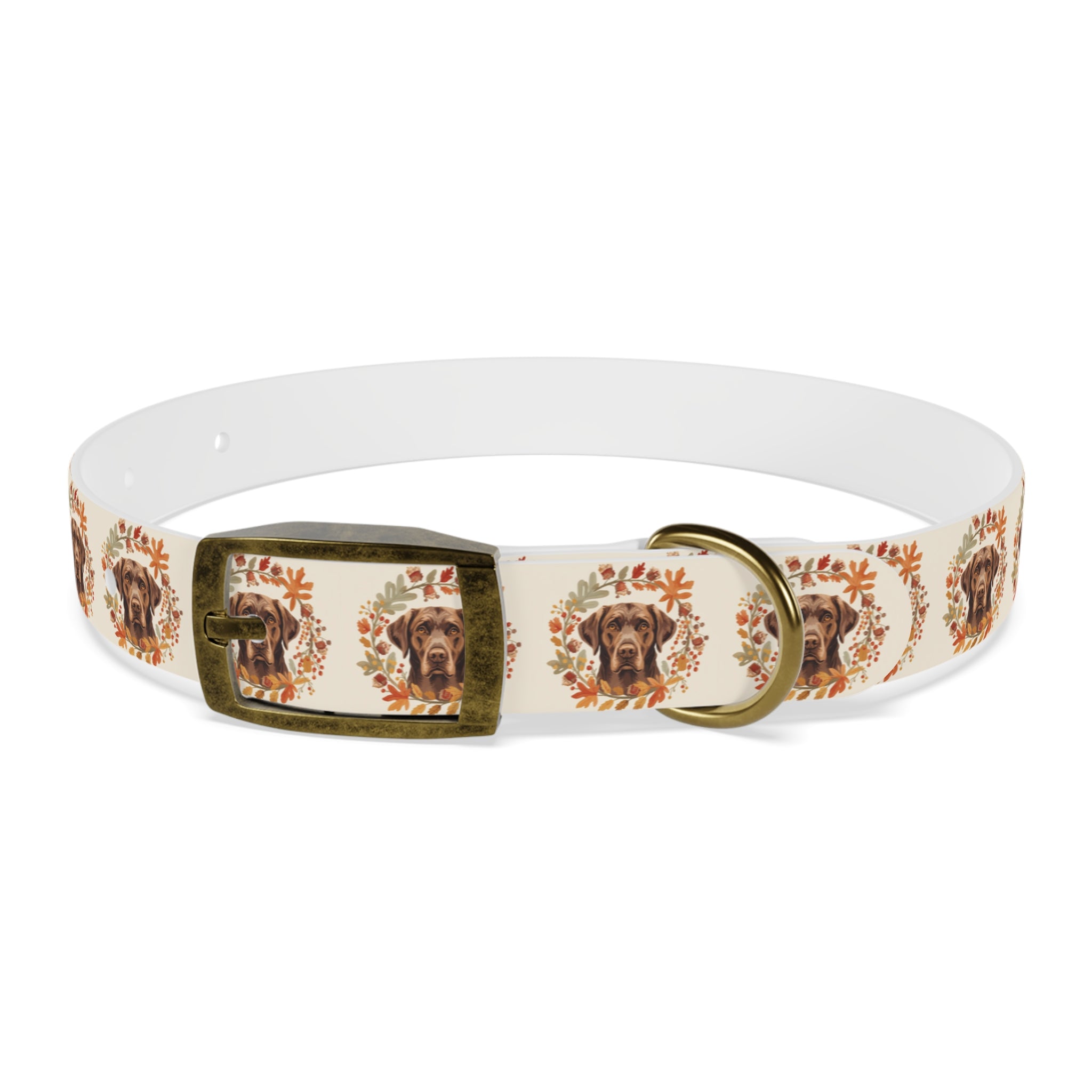 Labrador Collar