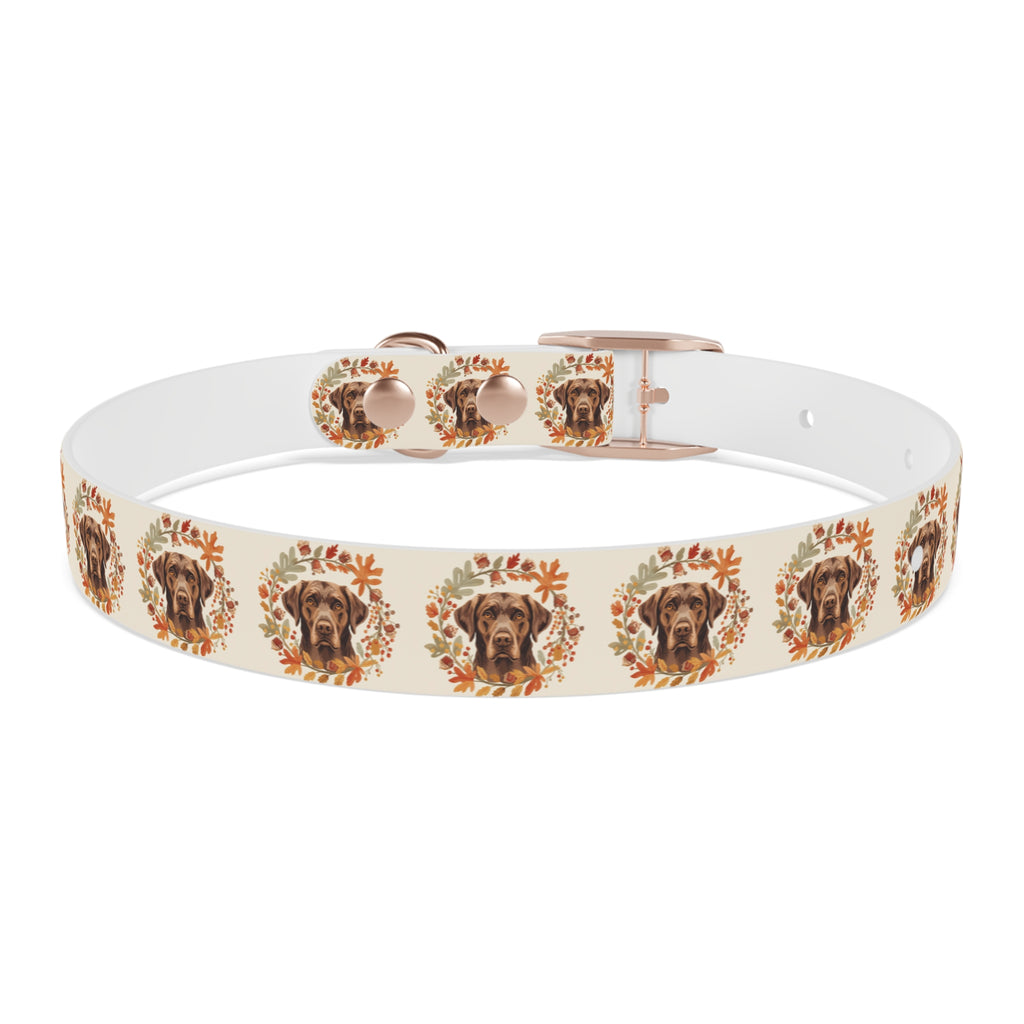 Labrador Collar