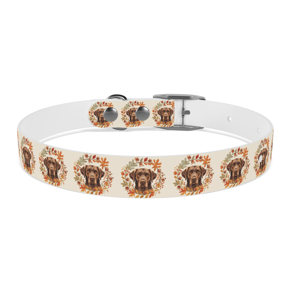 Labrador Collar