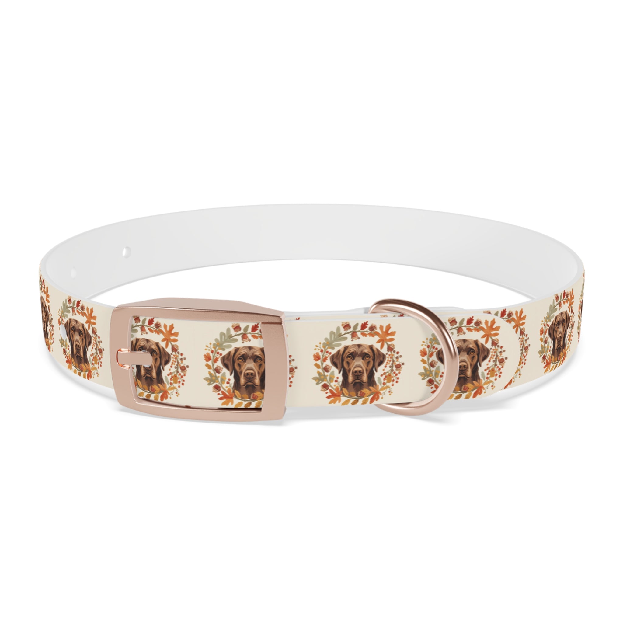 Labrador Collar